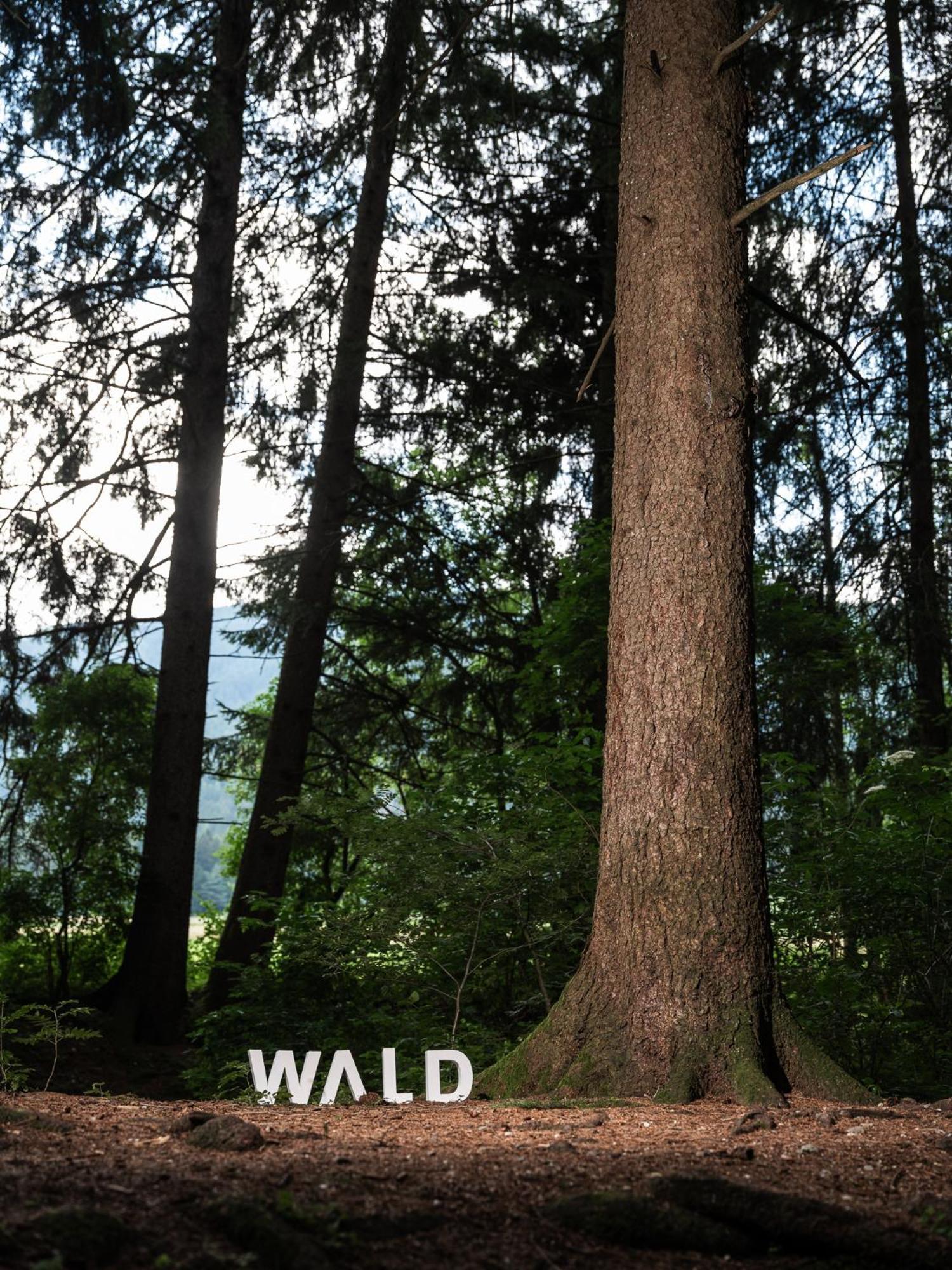 Frida Am Wald Hotel Rasun di Sotto Exterior photo